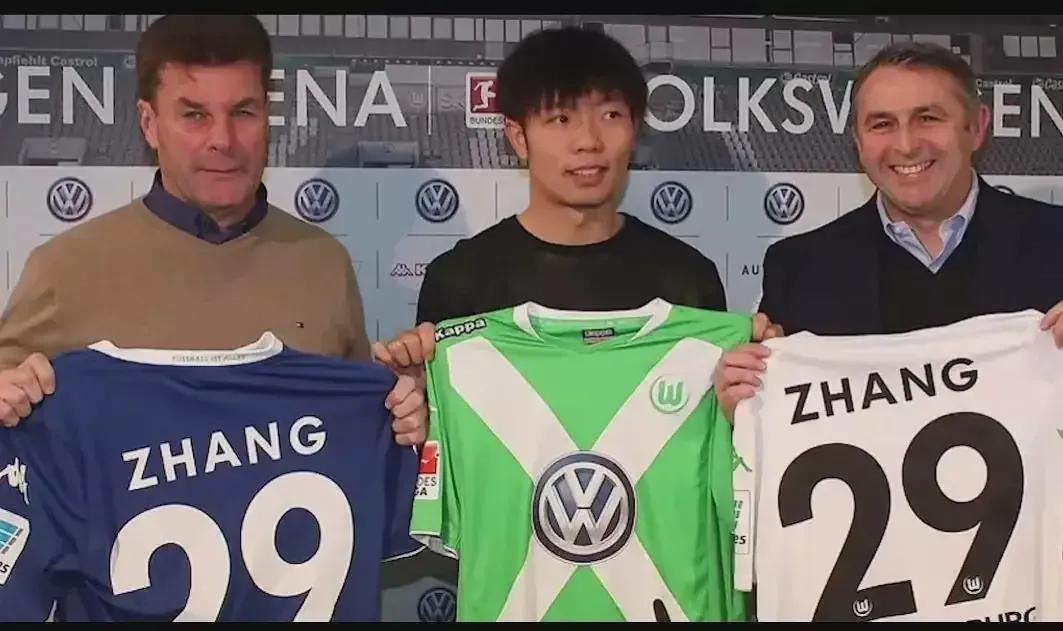 中国曾效力欧洲五大联赛的球员,中国有哪些球员在五大联赛进过球