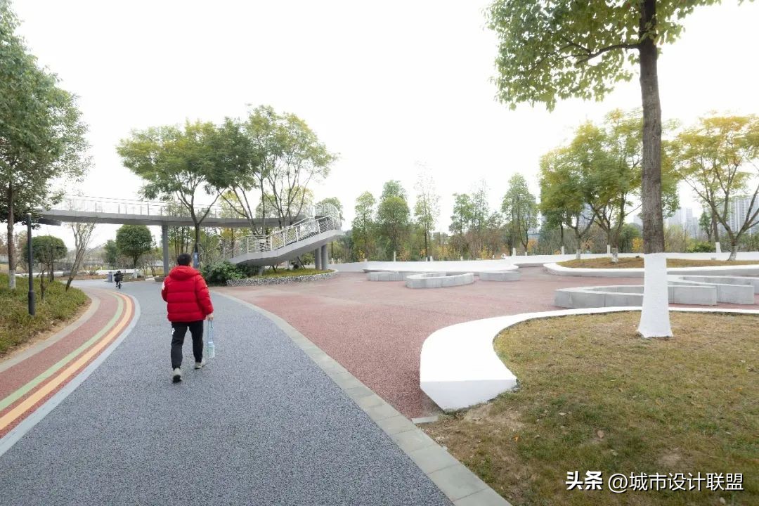 成都值得一游的公园,夏季成都宝藏公园