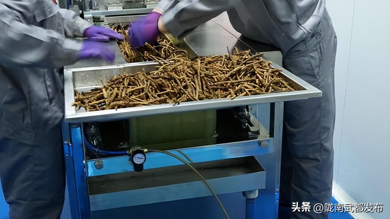 俄罗斯中草药进口中国前景,俄罗斯出口中国的商品草药