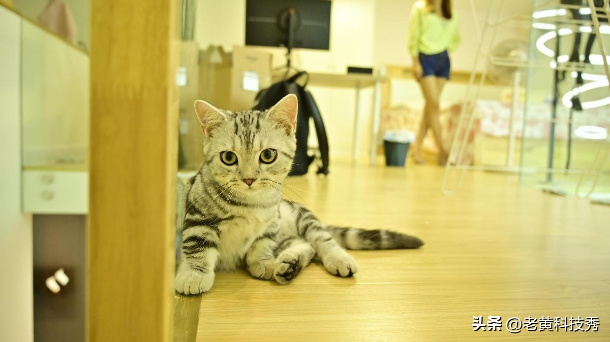 8000的电脑7000搞定：装了半个月的电脑，亲自给妹子送上门