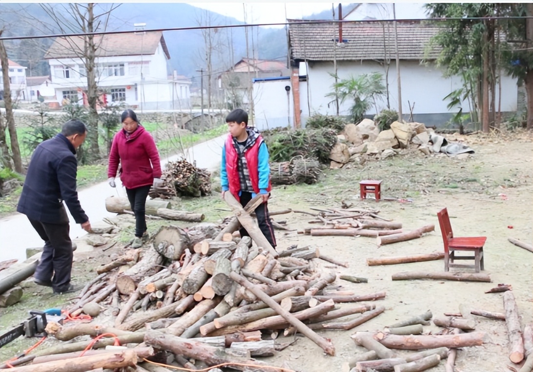 农村烧火木材价值,在农村虽然平凡但很快乐
