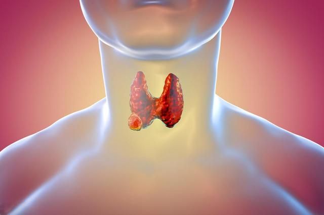 体检查出这9种病大多不用治,一次体检查出26种病这可咋办