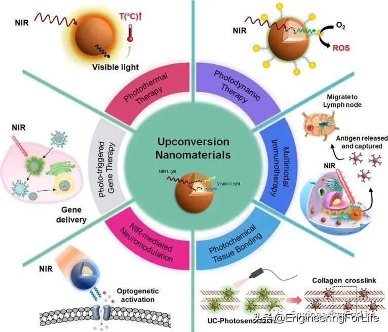 转换思维在生活中的运用,水凝胶纳米粒子