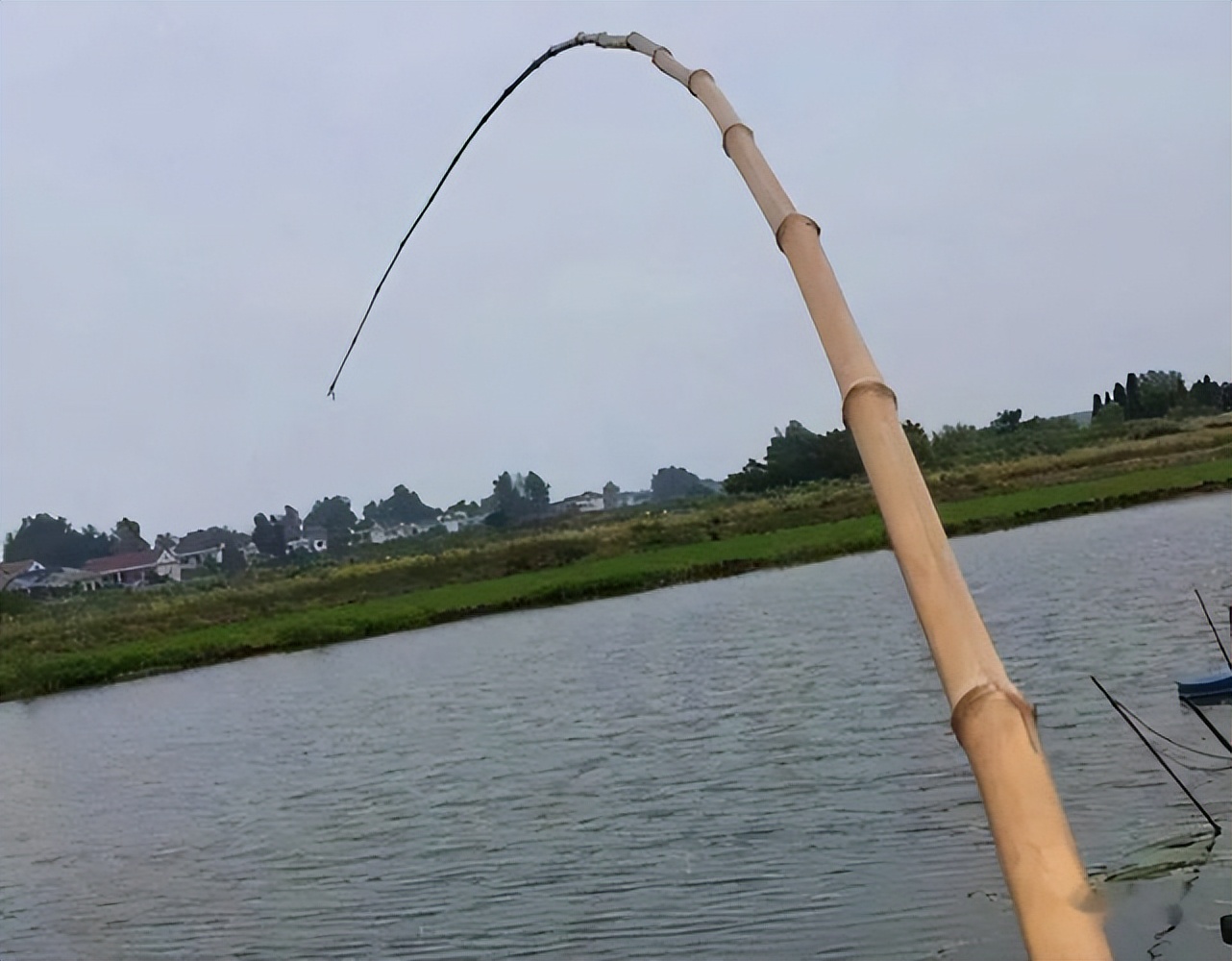 新手买钓鱼竿怎么选择钓位,钓鱼如何选择钓竿