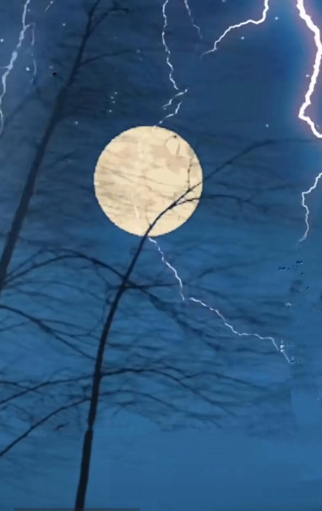 “大众创业”杀身成仁，不声不响，为社会做了一件伟岸的大事件！