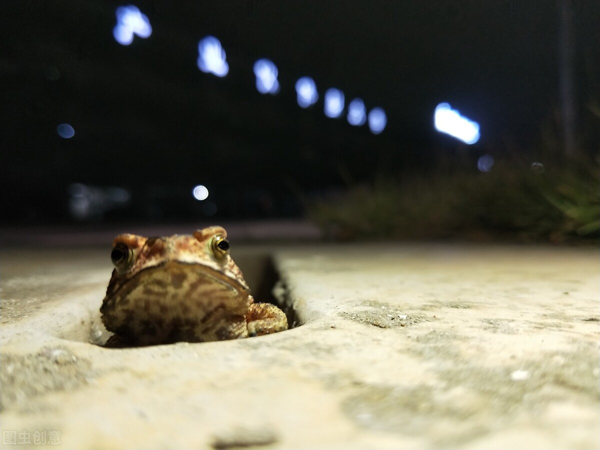 智能服务如何赋能,智能服务深度分析