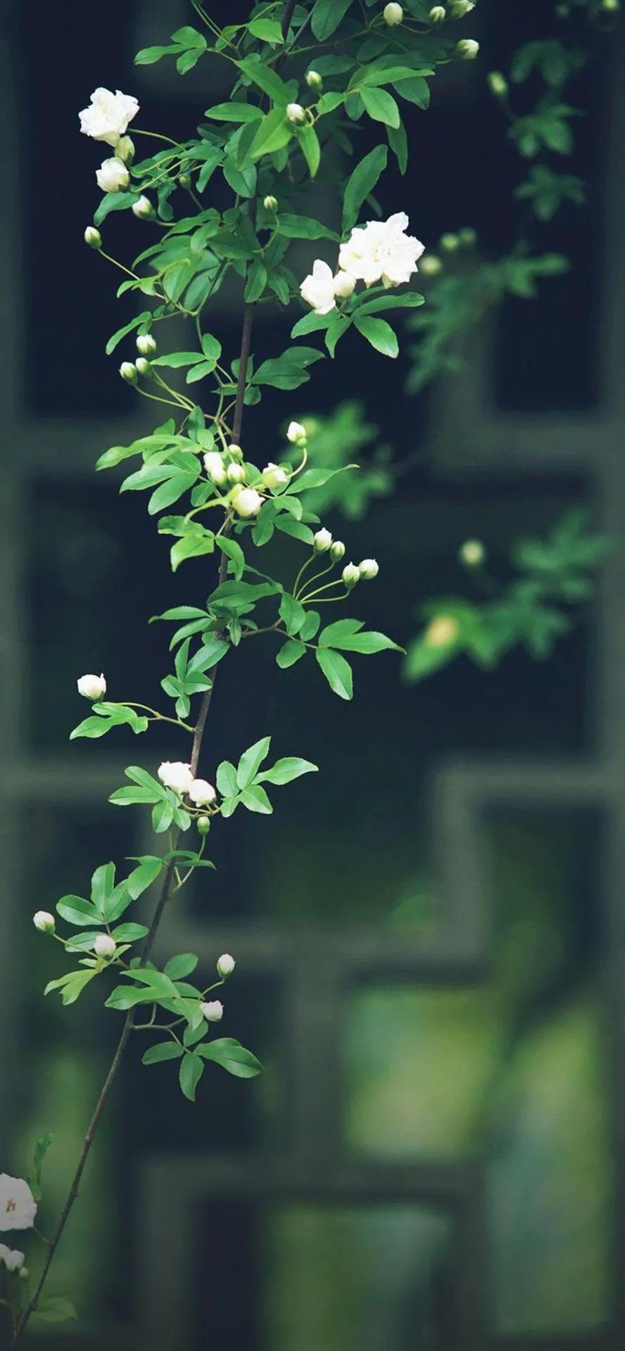 湛蓝的海水海滩风景高清壁纸,高清壁纸8k全屏无水印风景