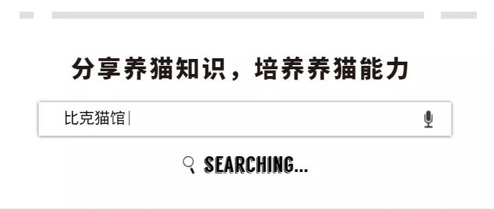 catfood猫食,catfood评测