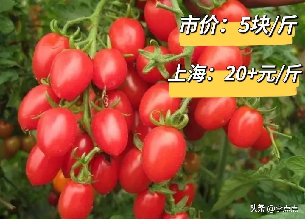 封控1个多月,上海的物价有多离谱?