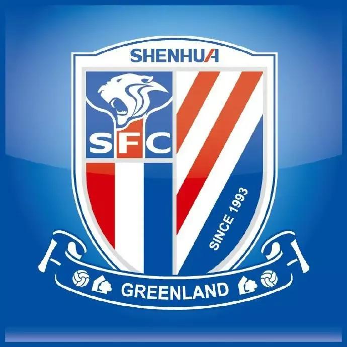 上海申花集团公司老板,上海申花队队史