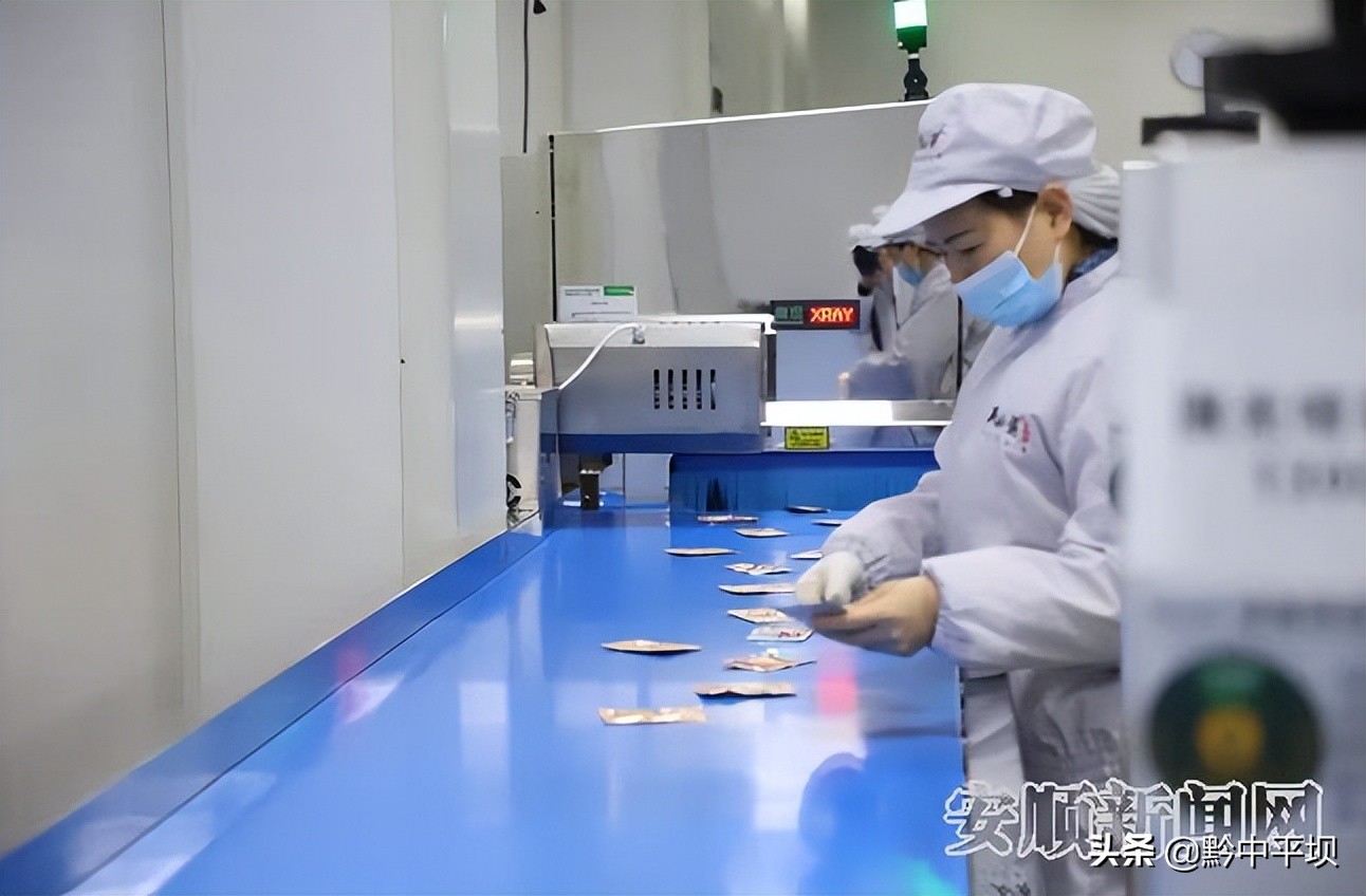 南山婆酸汤粉旗舰店安顺店,贵州南山婆食品集团有限公司