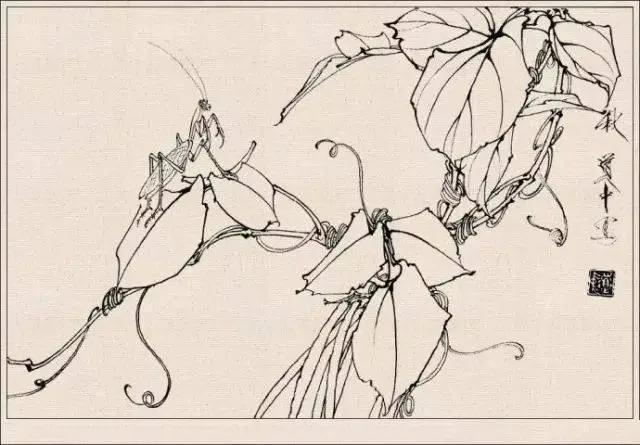 工笔草虫白描王道中,写意花鸟画草虫绘画过程分享