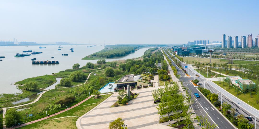 19+43!新区企业传来新动态