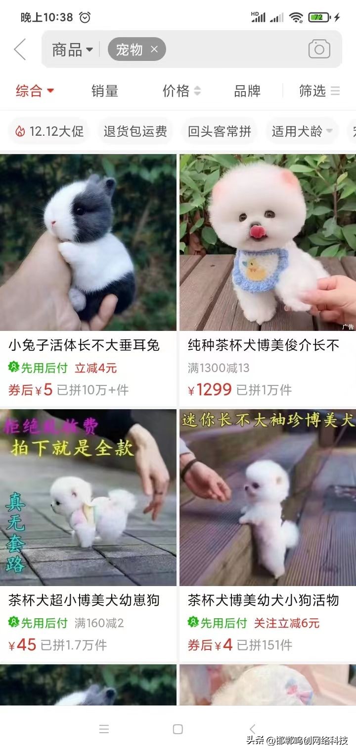 没有买卖就没有伤害的动物,没有买卖就没有伤害皮草公益广告