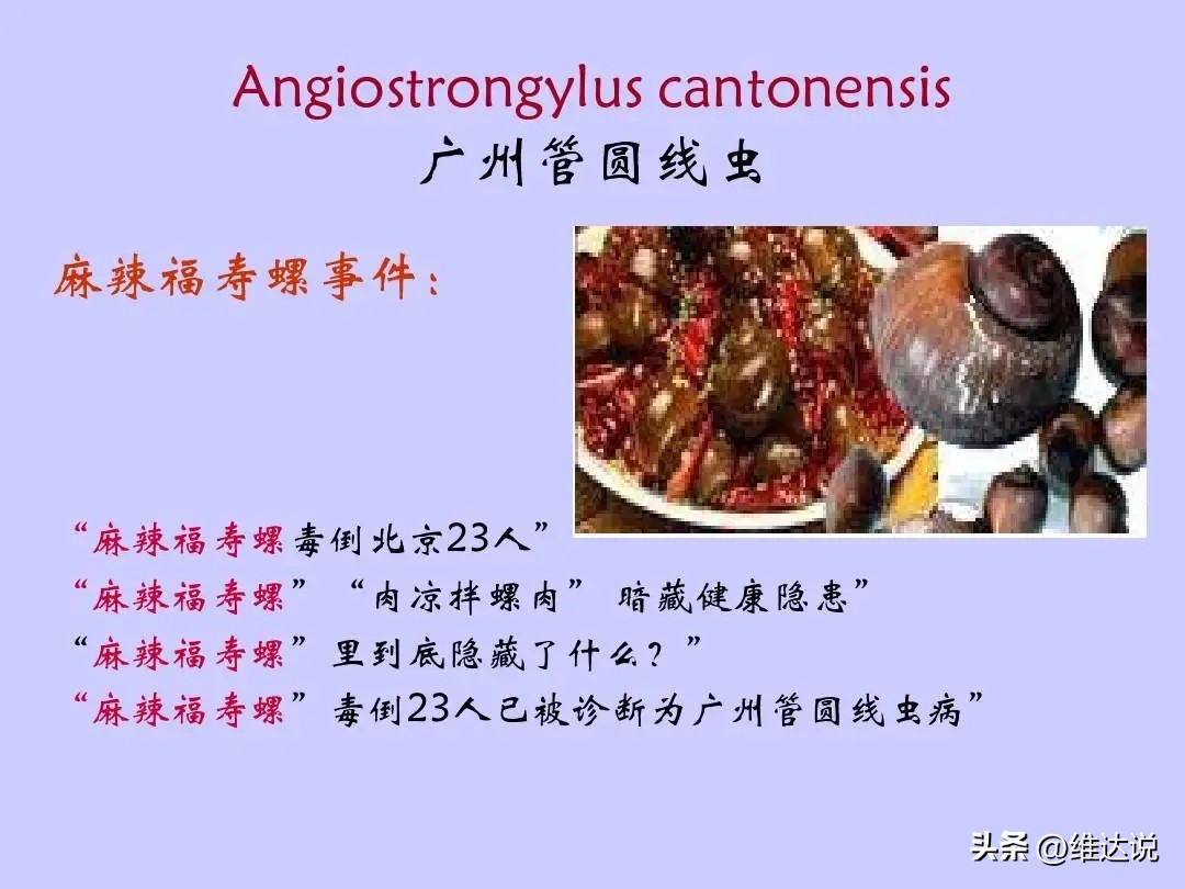 外来生物入侵鳄雀鳝怎么出现的,图说外来入侵物种鳄雀鳝