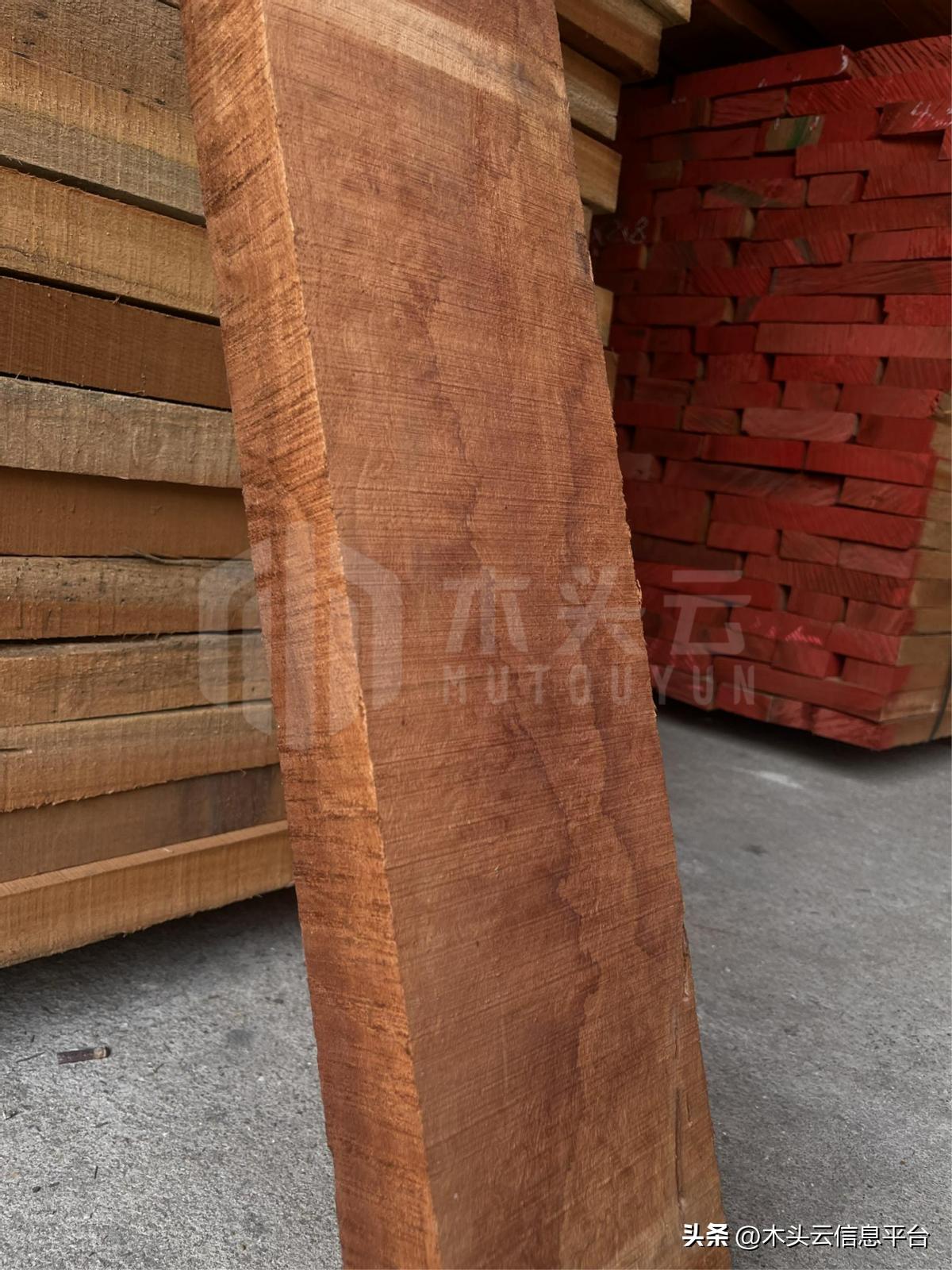 张家港实木沙比利批发,沙比利进口板材批发最新