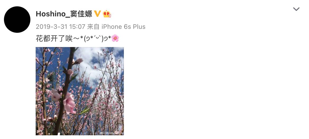 窦唯女儿窦佳嫄,窦唯二女儿窦佳嫄视频