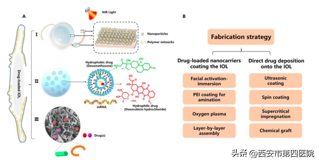 白内障药物治疗重大突破,药物治疗白内障最新研究成果