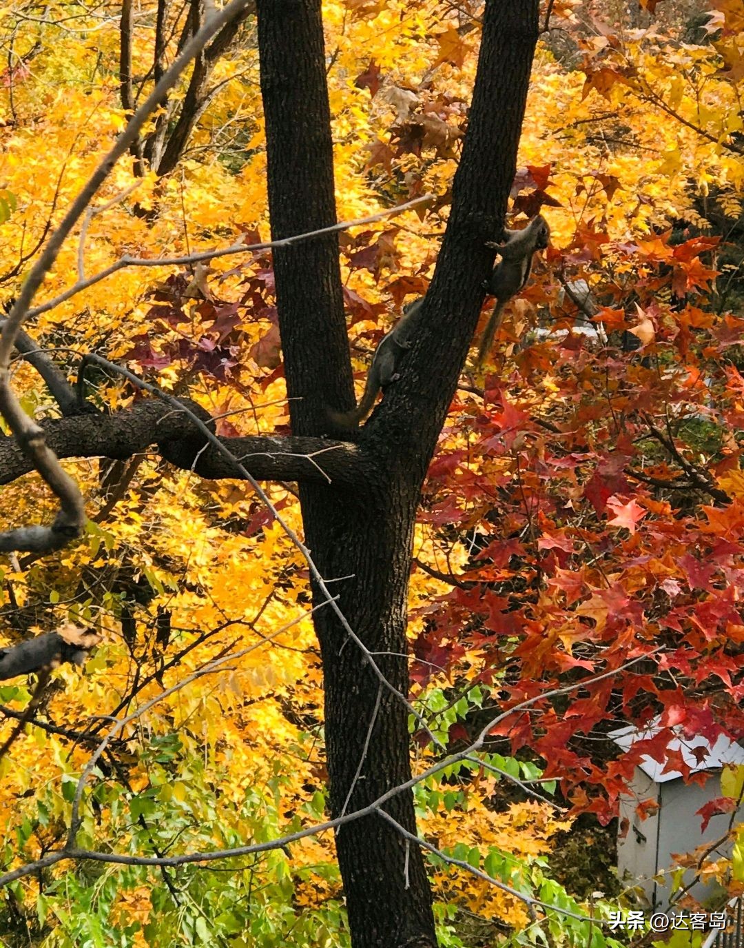 天津秋季旅游景点推荐路线,天津秋季旅游攻略大全