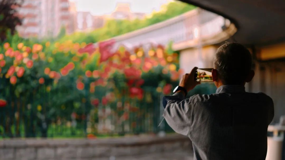 北京居庸关花海栈道,北京四季花海景区