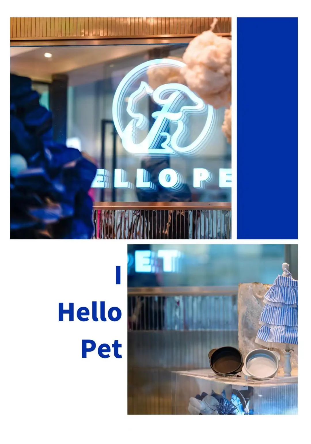 优秀门店专访|HELLOPET在宠物美容洗护领域做到极致