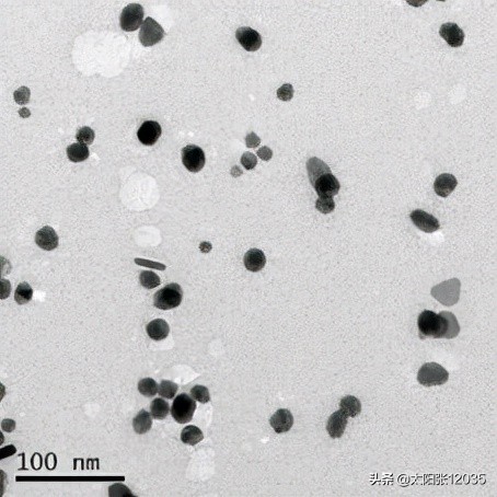 纳米银在棉织物抗菌整理中的应用李嘉豪翻译