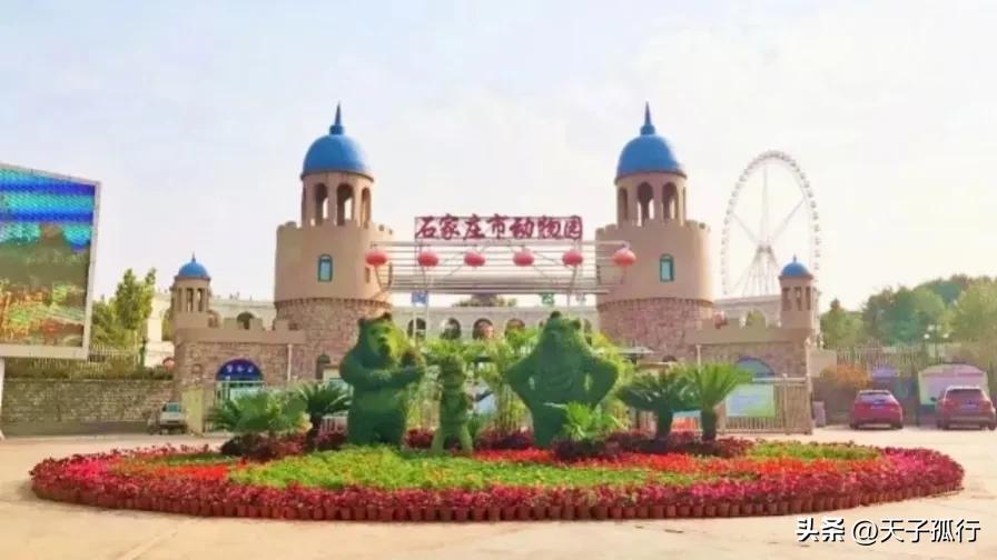 我们如此热爱石家庄|想和你，在石家庄想和你一起做的事