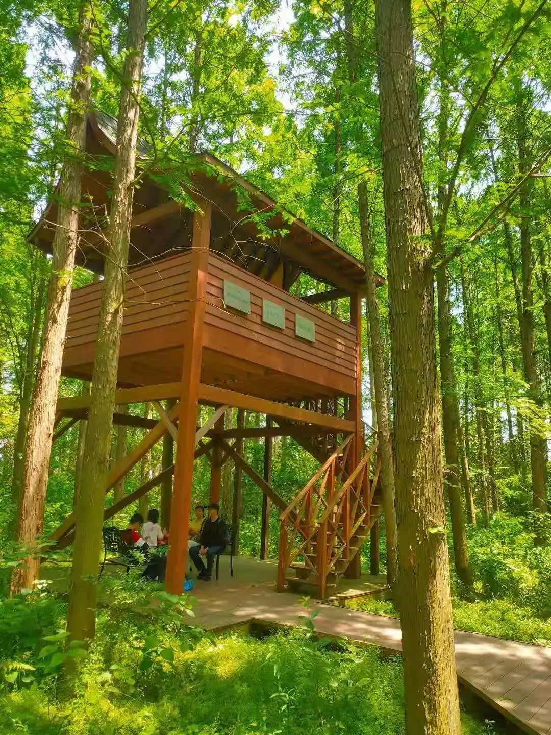 苏州旅游团七日游,苏州旅游团1日游