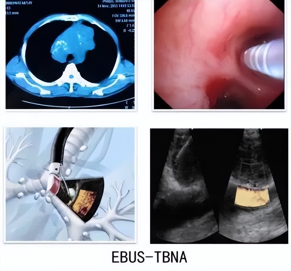 唐都医院金发光教授出诊,金发光医生简介