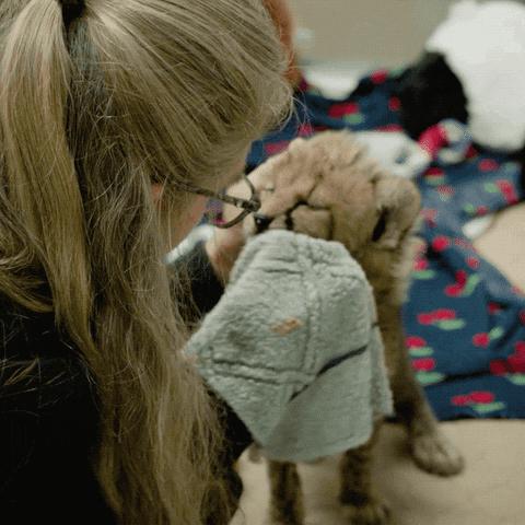 痘痘痘印痘坑改善全过程,学生祛痘痘和痘印痘坑简单的方法