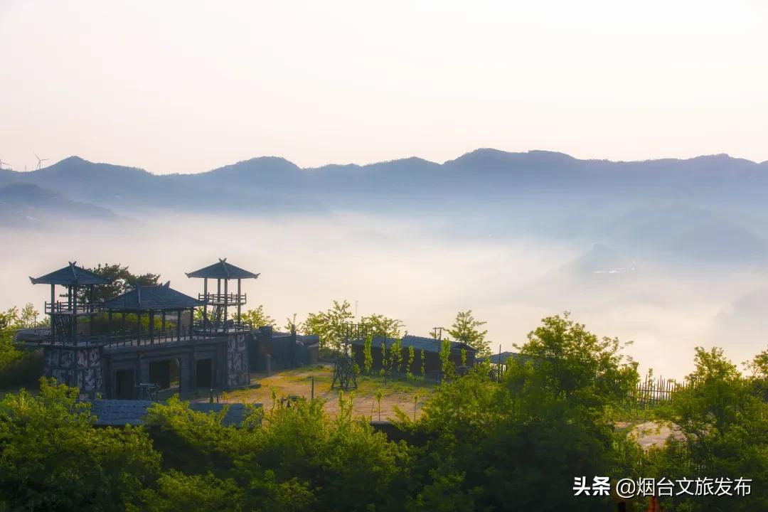 大山里映山红好美,映山红的美丽之处