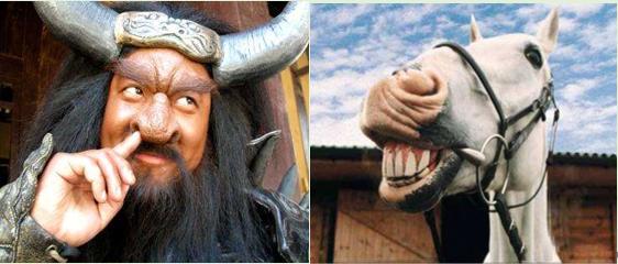 华利安诺基投资咨询有限公司介绍,华利安诺基中国有限公司负责人