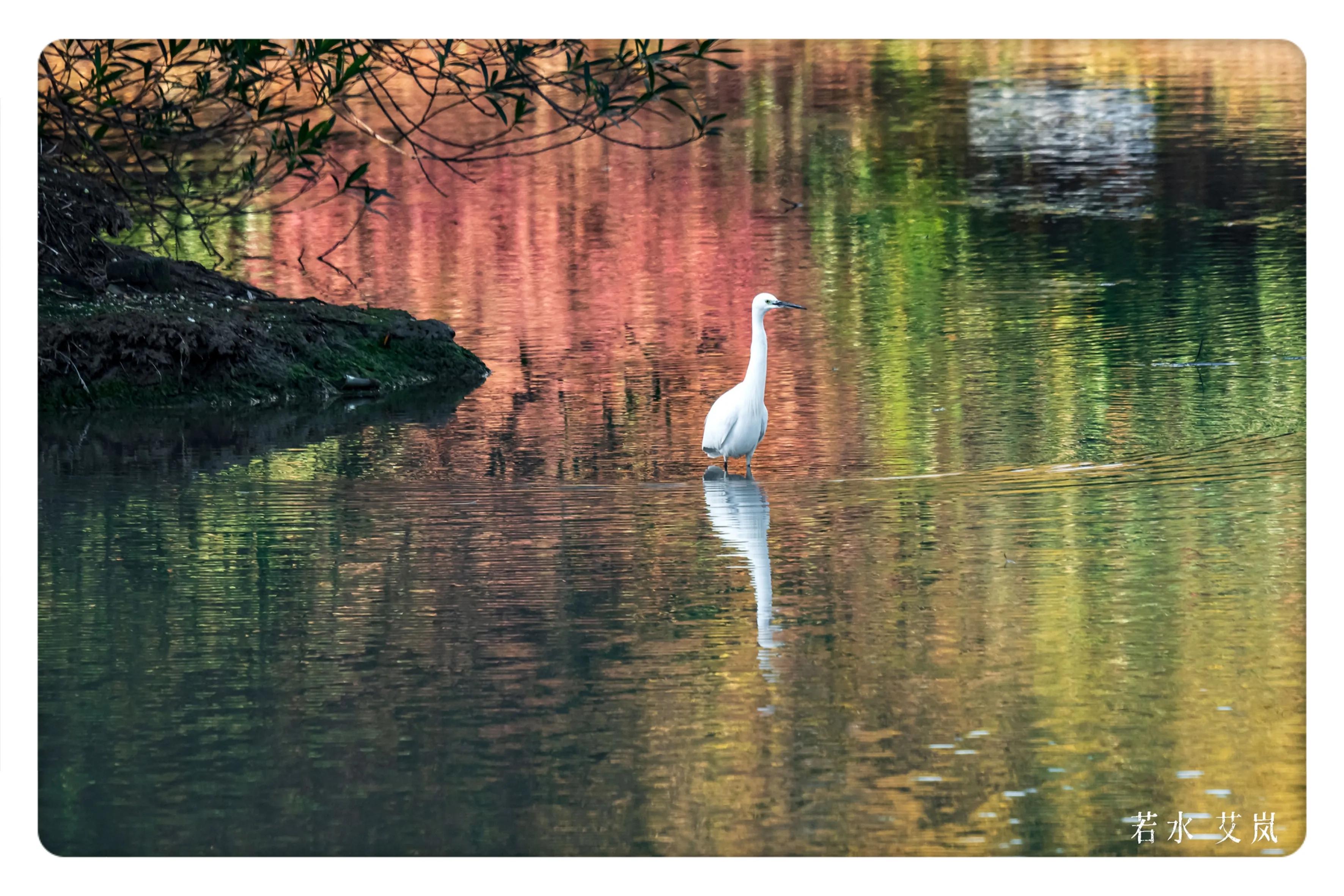 上海国际汽车城安亭,上海安亭国际汽车城