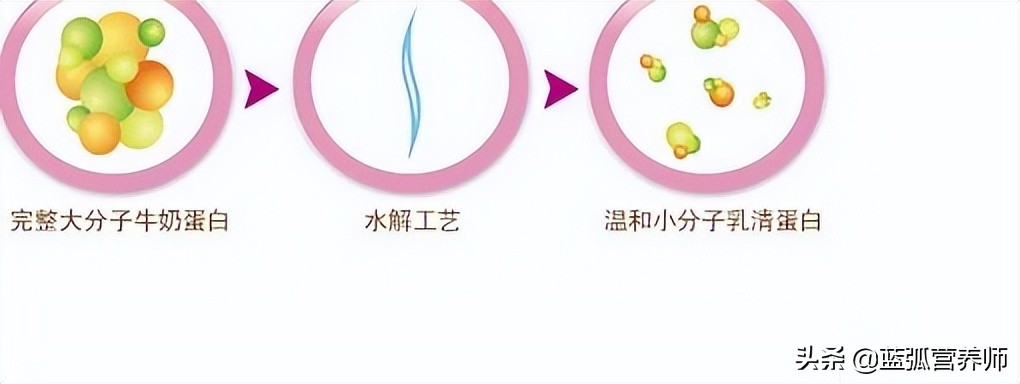 水解奶粉解释,水解奶粉大全