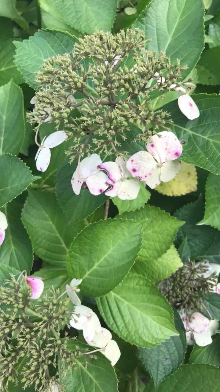 岁月斑驳留下来的都是静好时光,岁月斑驳愿时光静好