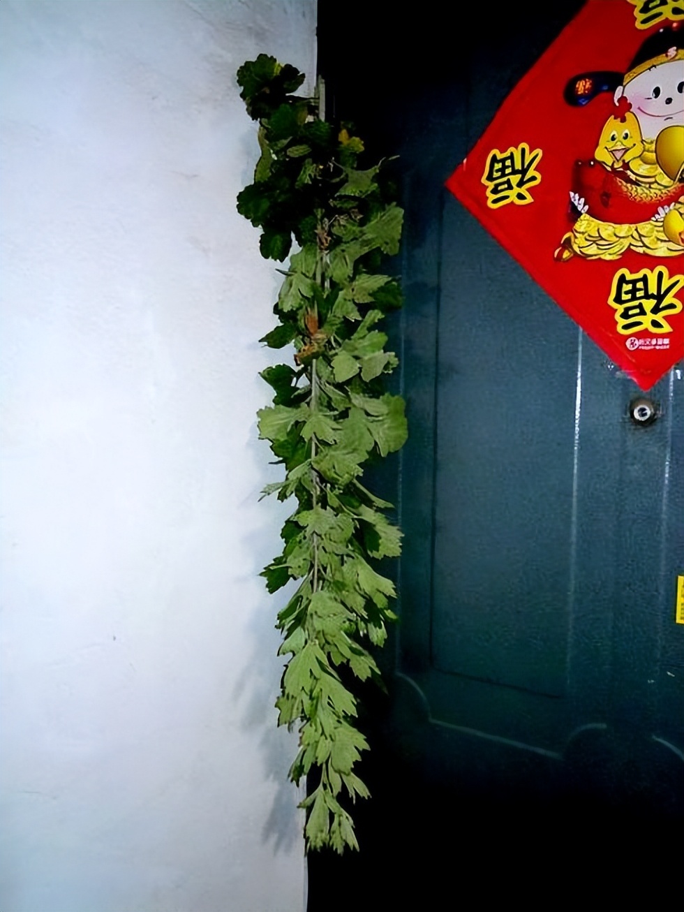 端午节挂艾草挂好了能换地方吗,端午哪三种家庭不能挂艾草