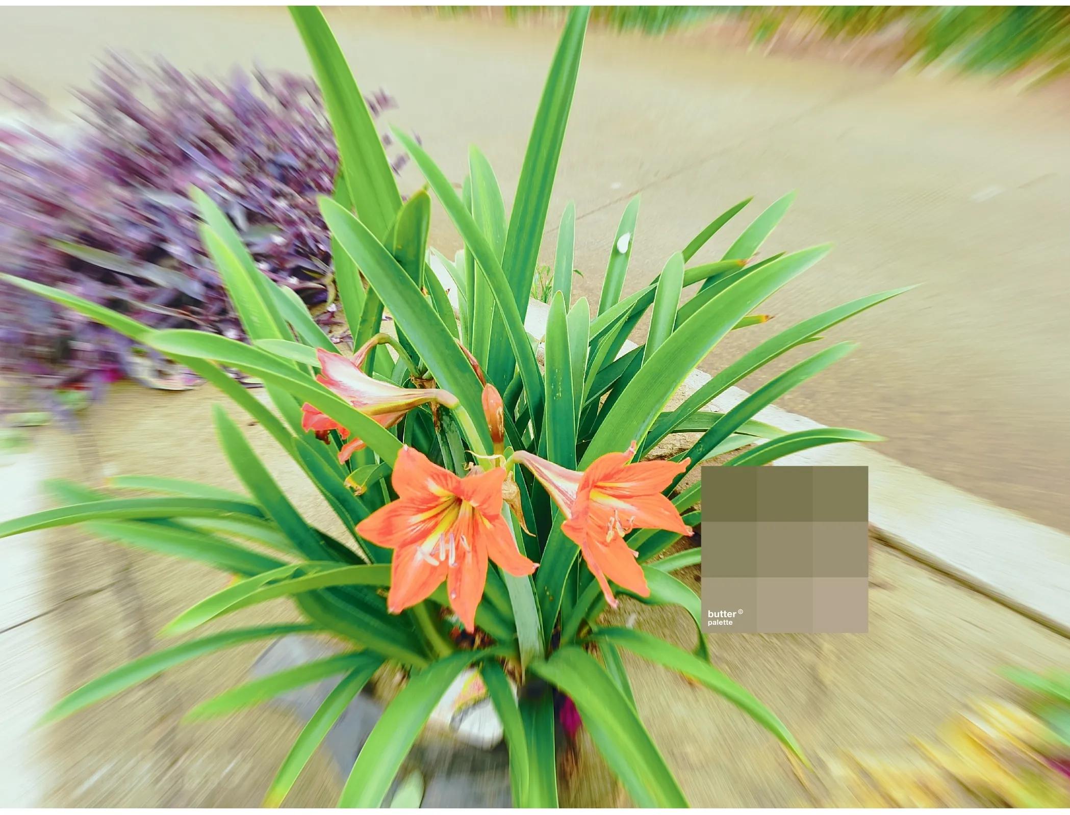 写作没思路写不下去三个步骤,没有兴趣学习和写作业怎么办