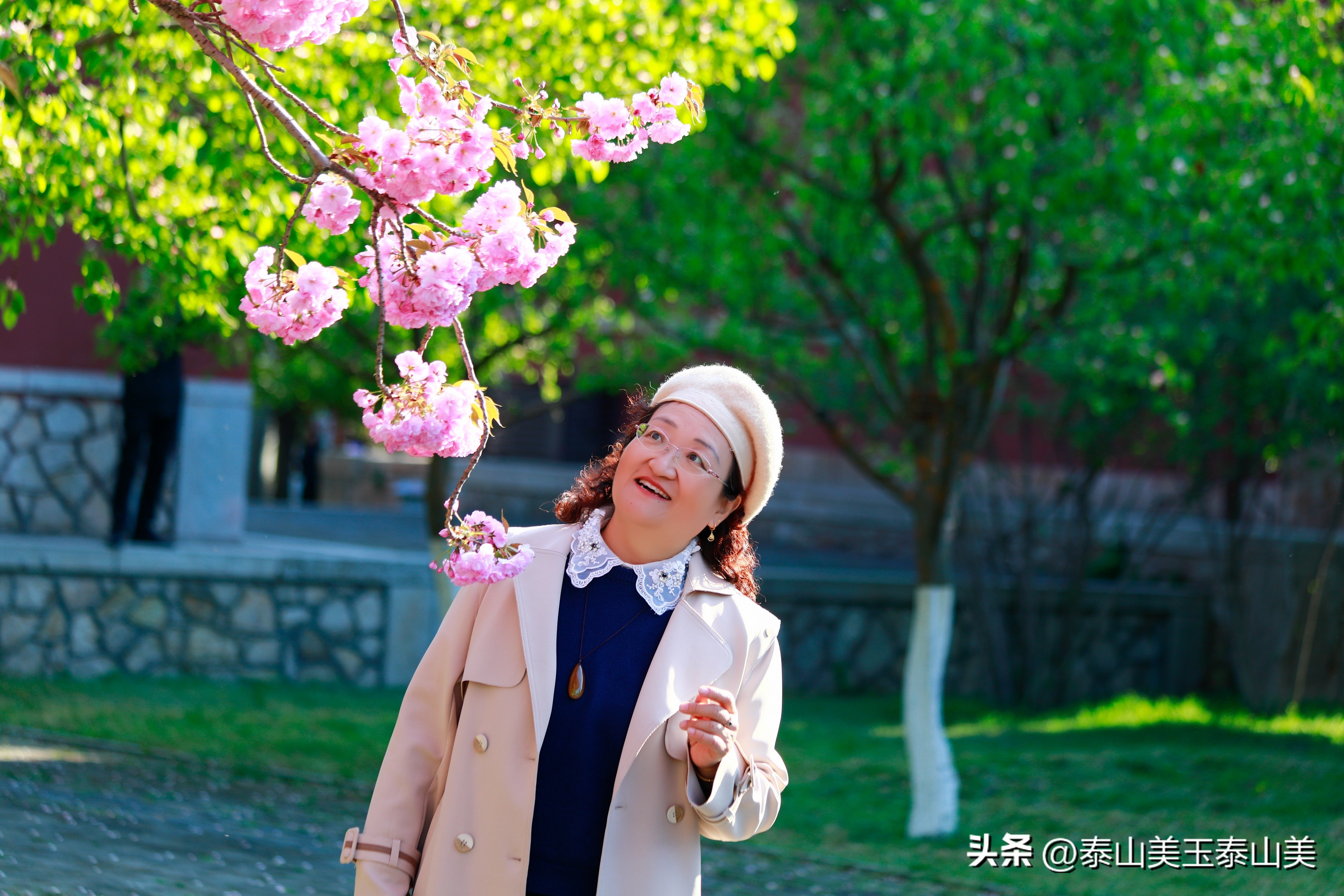 山亭寺沟樱花,定山溪樱花