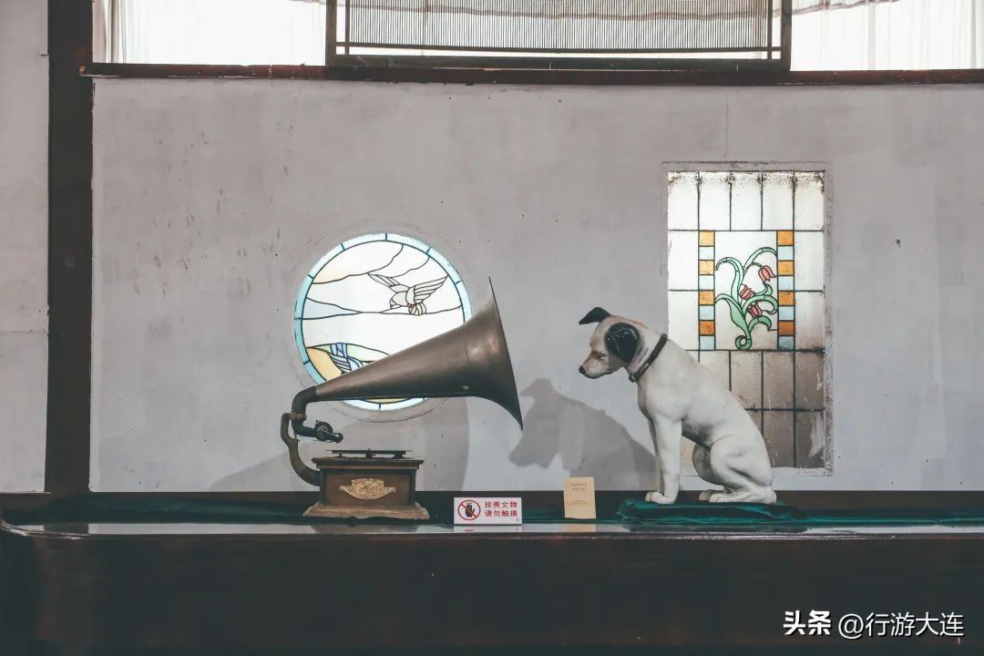 漫步银杏海~大连最美秋日在这里