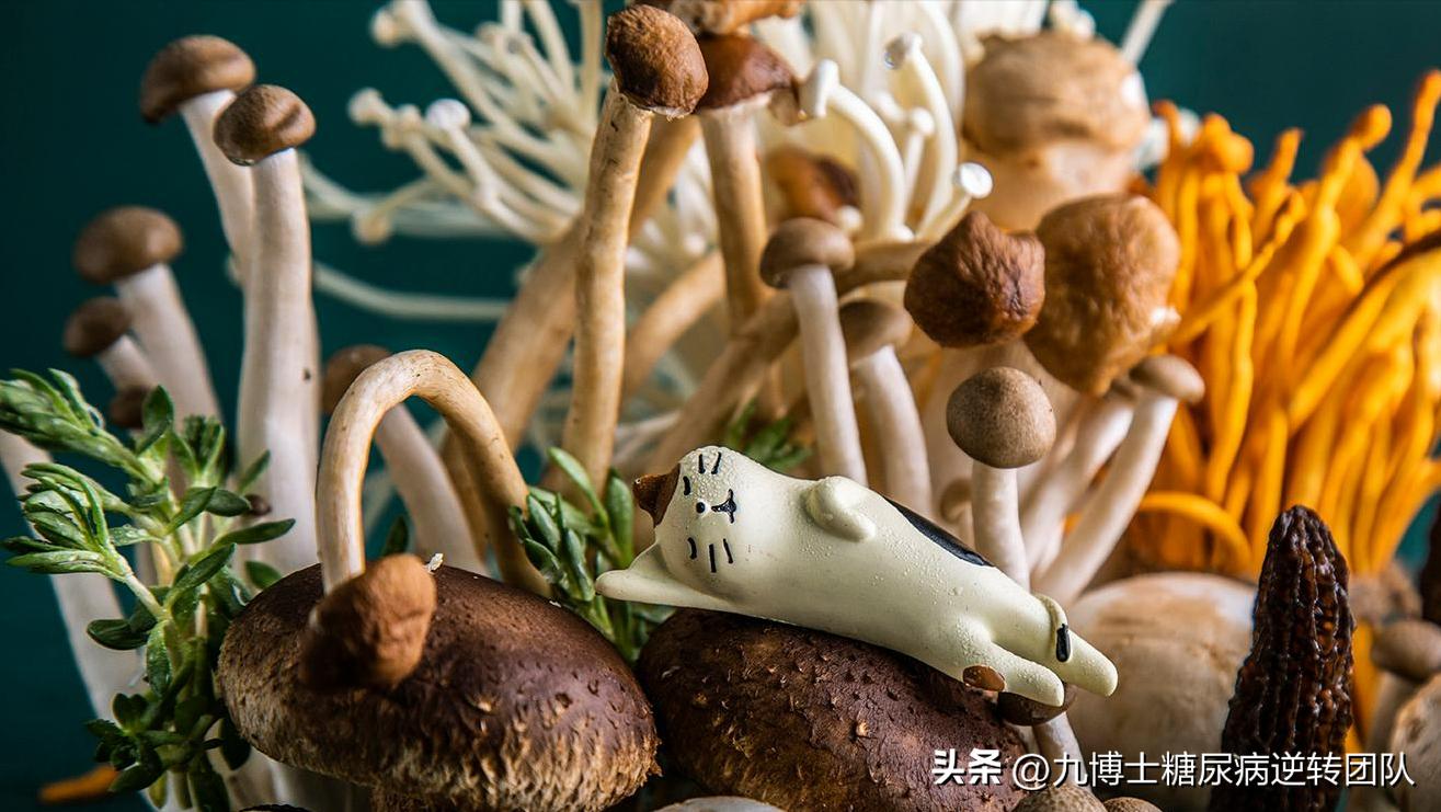 糖尿病人能吃各种菌菇类吗,糖尿病人可以吃菌菇吗