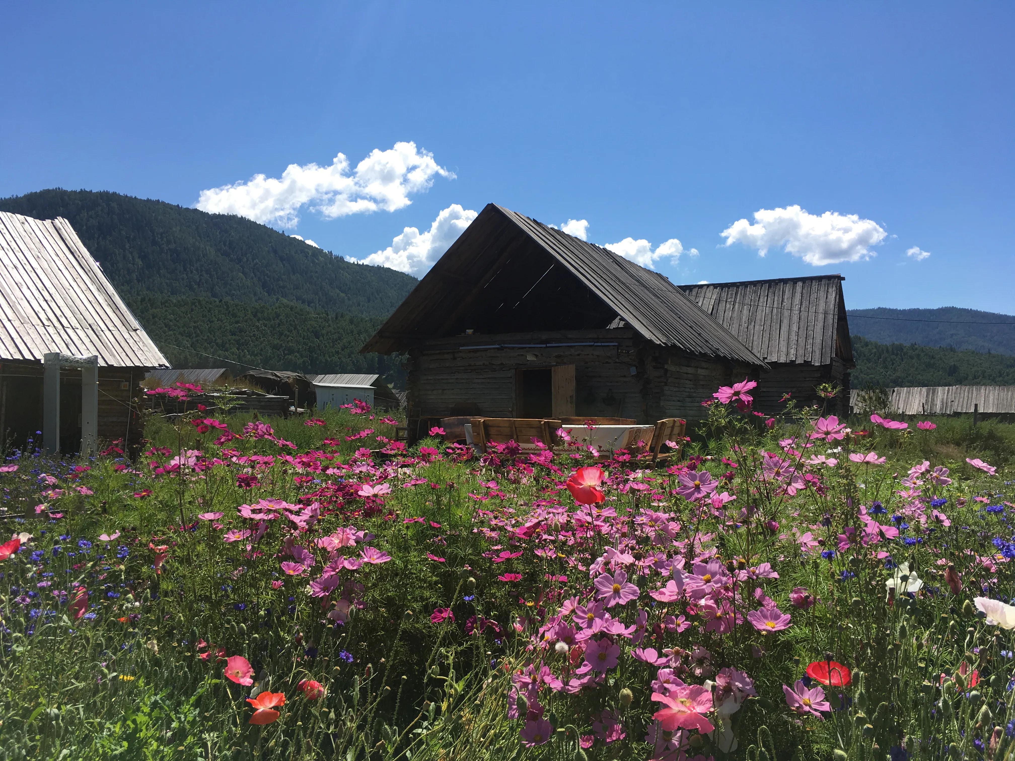走过*疆新**、内蒙、*藏西**,才知道云南旅游是老天爷赏饭吃了