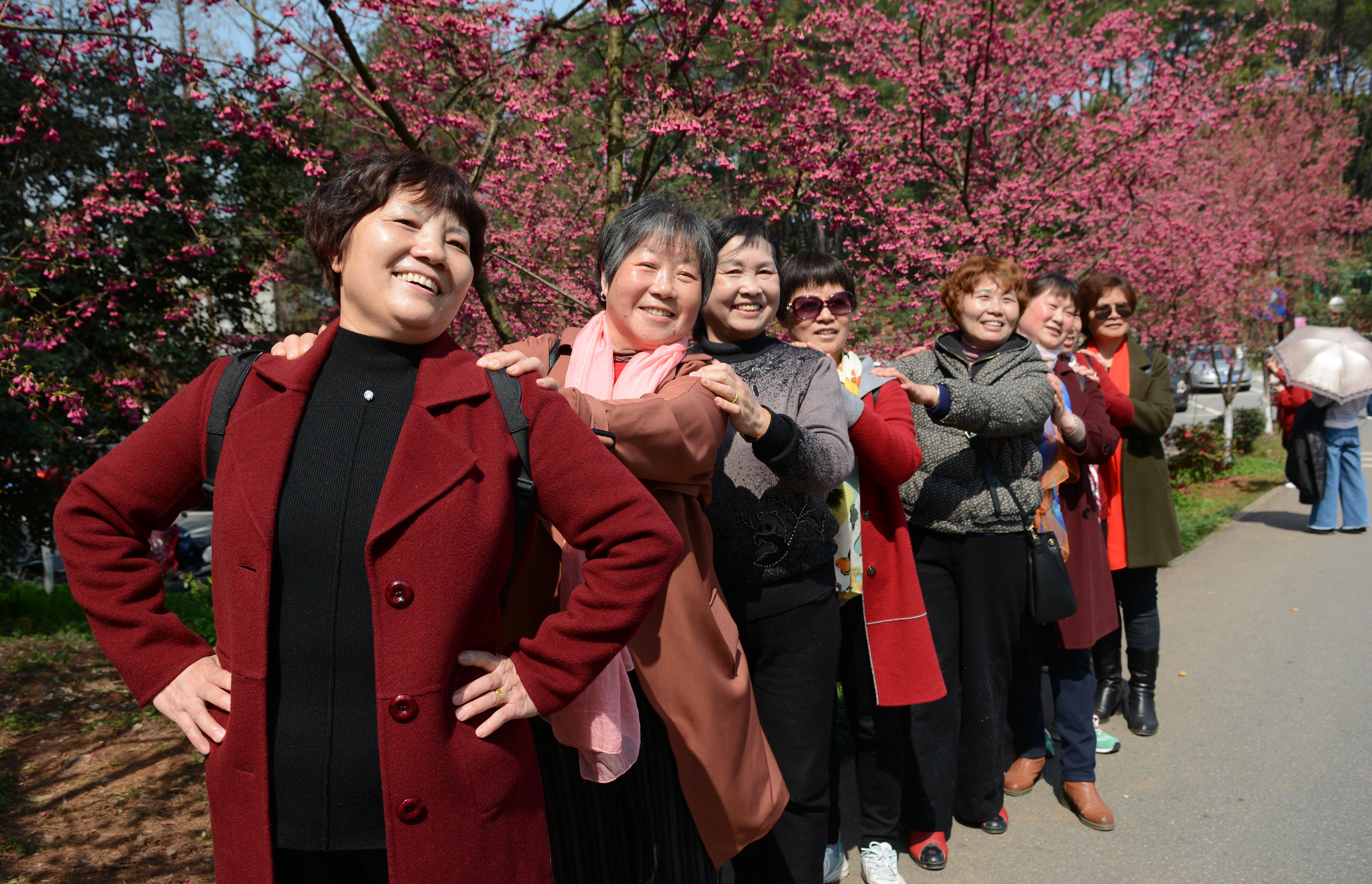 长沙康多多医药,康多多医药代购项目招商会