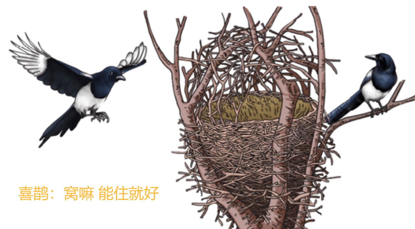 喜鹊窝防雨,喜鹊窝楼顶