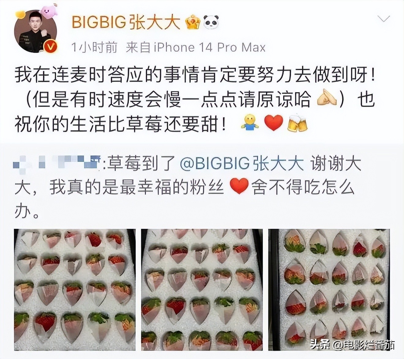 从“黑红”到口碑逆转，到现在一火再火，张大大究竟是如何做到的