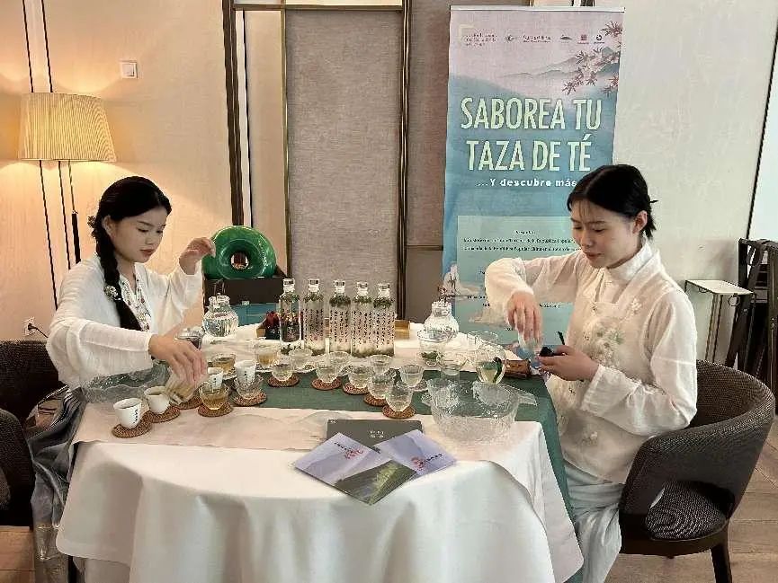 骄傲信阳,马德里信阳毛尖