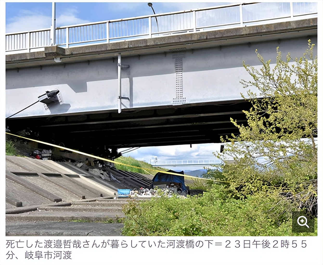 某地办比赛鼓励儿童猎杀野猫？！主办方：杀猫最多的奖励1000元！