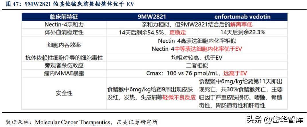 有效避开内卷，迈威生物：ADC锋芒初显，快速成长的Biopharma