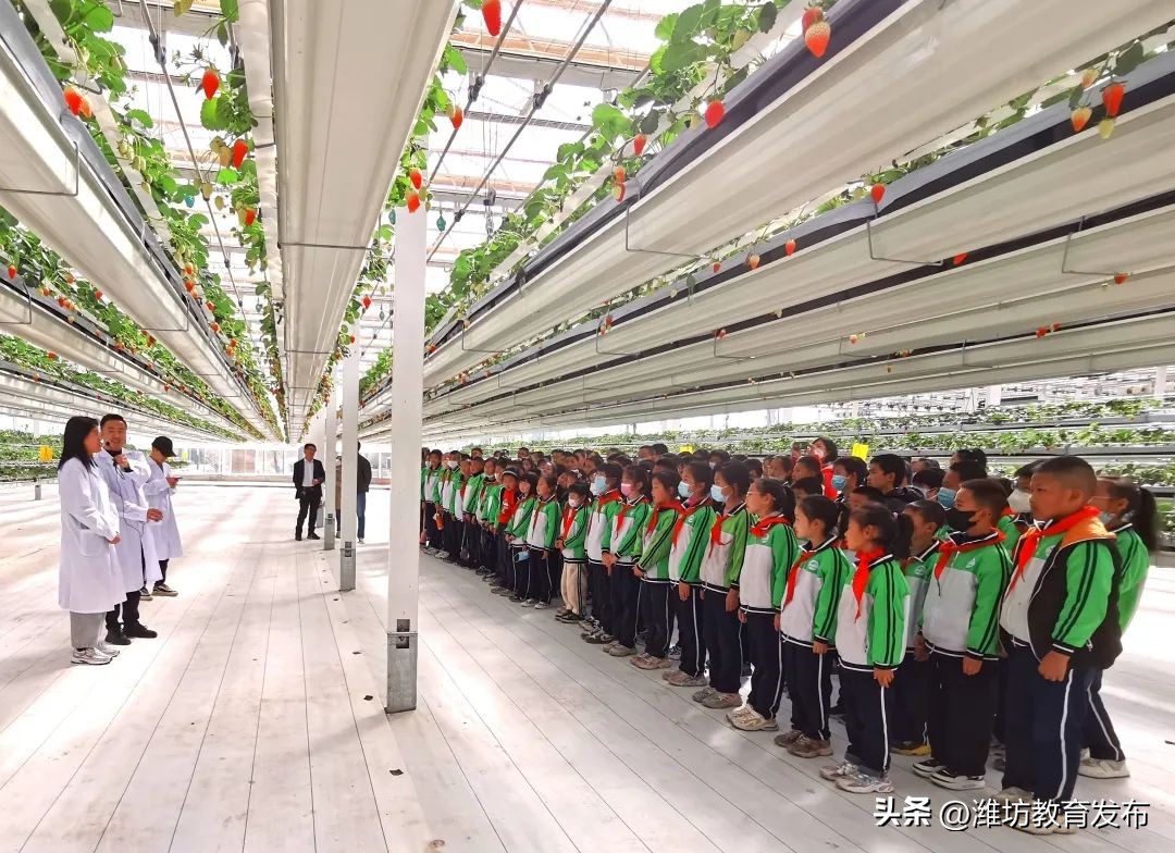 周播报|潍坊校园新闻(03.13—03.19