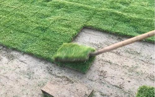 水泥地种上农作物造假的事件,水泥地铺假草坪方法