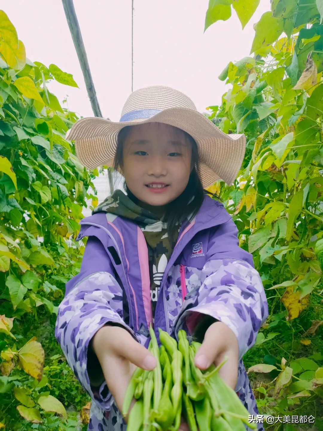 快来看看谁是昆都仑区“新时代好少年”？有你家娃吗？